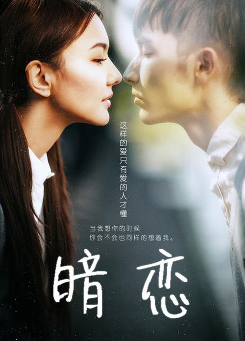 办理假真实护照
